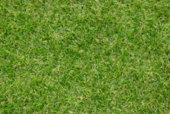 Gazon Green 20mm- Exelgreen - Rouleau De 1 X 3m 7 Gazon Green 20mm- Exelgreen - Rouleau De 1 X 3m -Pas Cher Jardinure Magasin 123103 1