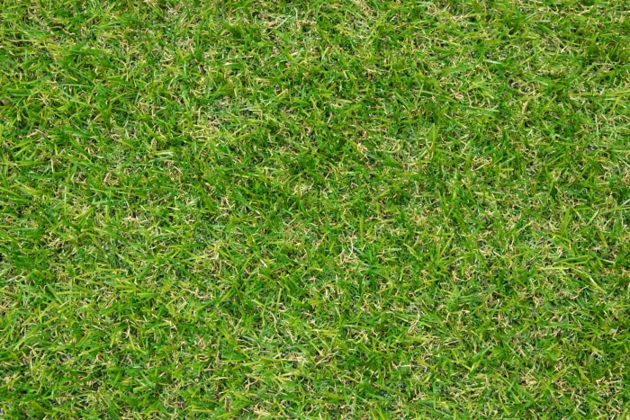 Gazon Green 20mm- Exelgreen - Rouleau De 1 X 3m 5 Gazon Green 20mm- Exelgreen - Rouleau De 1 X 3m – Image 3