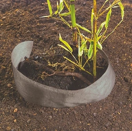 Stop Racine - 0m75 X 3m – Image 2