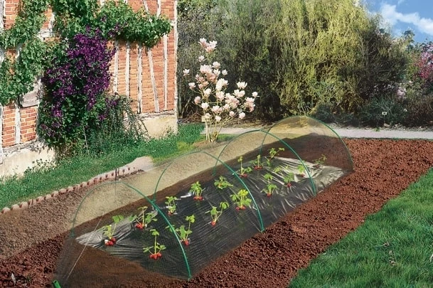 Filet Easynet - 2 X 10m 3 Filet Easynet - 2 X 10m