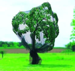 Filet Pronet - 5 X 12m