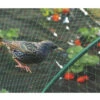 Filet Oiseaux - 8 X 10m - Teragile -Pas Cher Jardinure Magasin 1477033 filet de protection oiseaux magasin vert 8x10 m