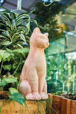 Chat Terra H32M - Deroma - Terre Rosée 4 Chat Terra H32M - Deroma - Terre Rosée -Pas Cher Jardinure Magasin 1552087 3491780115195 ambiance