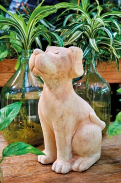 Chien Terra H32 Cm - Deroma - Terre Rosée -Pas Cher Jardinure Magasin 1552099 3491780115218 ambiance