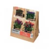 Kit Bulbes Plantation Lasagnes - Rouge Et Violet 1 Kit Bulbes Plantation Lasagnes - Rouge Et Violet -Pas Cher Jardinure Magasin 1570448 bulbes lasagne rouge violet