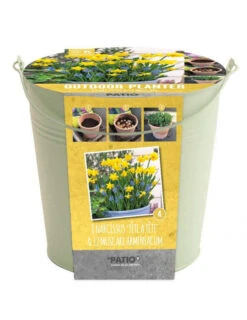 Kit Bulbes Et Pot Narcisses Et Muscaris