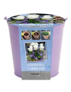 Kit Bulbes Et Pot Tulipes Et Anémones