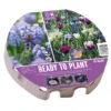 Plateau Bulbes Prêt-à-planter Biodiversité - Ø38 Cm -Pas Cher Jardinure Magasin 1570460 kit bulbes biodiversite