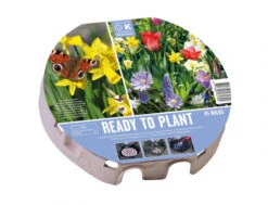 Plateau Bulbes Prêt-à-planter Fleurs Sauvages - Ø38cm