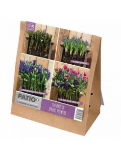 Kit Bulbes Plantation Lasagnes - Rose Et Bleu