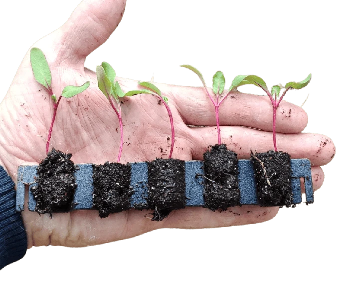 Kit De Germination L 13 Plants - Germie 5 Kit De Germination L 13 Plants - Germie – Image 3