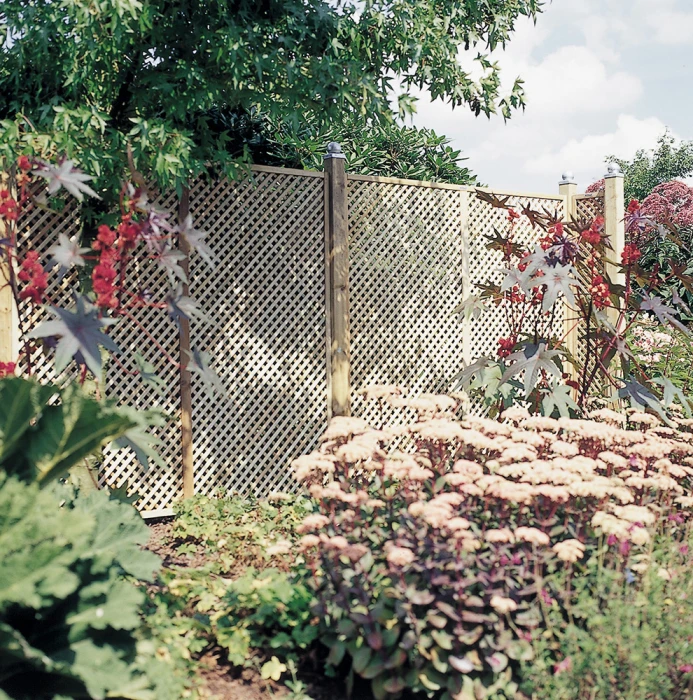 Panneau Treillis Jasmin En épicéa OLG -60 X 180 Cm – Image 2