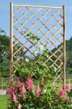 Treillis Bamboo - Droit - 50 X 170 Cm