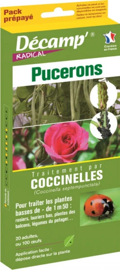 Pack Décamp' Radical Lutte Contre Les Pucerons Arbre < 1,50 M - CREA