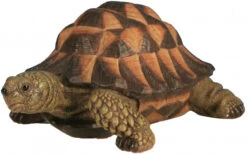 Tortue - Riviera System - Vert - 17.3 X 12.5 X 8 Cm