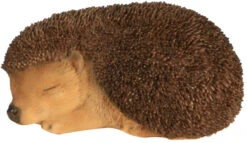 Hérisson Bébé Dormant - Riviera System - 13.2 X 9 X 6.5 Cm