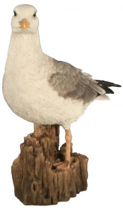 Mouette - Riviera System - 36.5 X 13.5 X 36 Cm