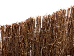 Clôture Brande De Bruyère Nature -Catral France - 1,5 X 3 M 5 Clôture Brande De Bruyère Nature -Catral France - 1,5 X 3 M -Pas Cher Jardinure Magasin 1767074 1