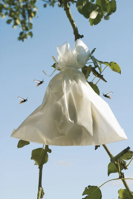 Housse Fruit Sac - 20 X30