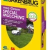 Gazon Spécial Mulching - Barenbrug - 1kg -Pas Cher Jardinure Magasin 1773943 gazon sp cial mulching barenbrug 1kg min