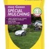 Gazon Spécial Mulching - Barenbrug - 15kg 1 Gazon Spécial Mulching - Barenbrug - 15kg -Pas Cher Jardinure Magasin 1774136 gazon sp cial mulching barenbrug 15kg