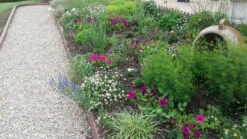 Pouzzolane Big 1/4m3 Daoulas - Negomat -Pas Cher Jardinure Magasin 1778814 pouzzolane big 1 4m3 daoulas negomat min