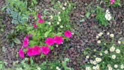 Pouzzolane Big 1/4m3 Daoulas - Negomat