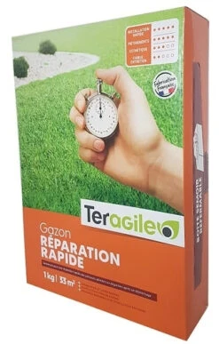Gazon Regarnissage/rénovation - Teragile - 1kg