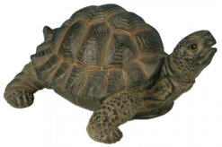 Tortue - Riviera System - Marron - 23.5 X 17.7 X 11.2 Cm