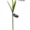 Jacinthe En Verre Solaire - Smart Garden Products - 85 X 22 Cm