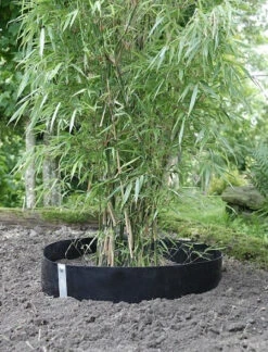 Stop Racine - 0m60 X 10m