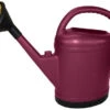 Arrosoir Ovale Extra Fort + Pomme Laiton - BELLI - 13 L - Prune -Pas Cher Jardinure Magasin 1793374 arrosoir ovale extra fort 13 l pomme laiton prune belli