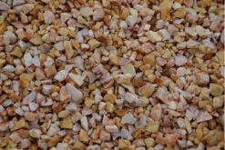 GRAVIER ROSE VALANCIA 8/12 - ROCHE COUPE