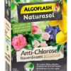 Anti-chlorose Reverdissant - Algoflash - 100 G 2 Anti-chlorose Reverdissant - Algoflash - 100 G -Pas Cher Jardinure Magasin 1798937 anti chlorose reverdissant algoflash 100 g