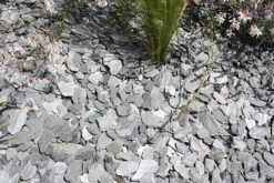 SCHISTE ARDOISIER 3060 250KG - ROCHER COUPE