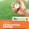 Gazon Réparation Rapide - Teragile - 3kg -Pas Cher Jardinure Magasin 1816928 gazon r paration rapide 3kg teragile min
