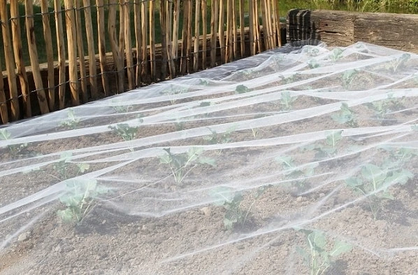 Filet Biocontrol Insecte - 2m20 X 5m 3 Filet Biocontrol Insecte - 2m20 X 5m