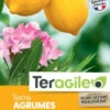 Terreau Agrumes Et Plantes Méditerranéennes - Teragile - 40 L -Pas Cher Jardinure Magasin 1820915 terreau agrume et plantes m diterran ennes teragile 40 l