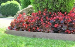 Bordure Woodtec - Nortene - 5 M