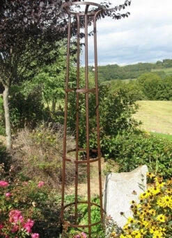 Tuteur Colonne Col évasé - Fer Vieilli -Louis Moulin - 200 Cm -Pas Cher Jardinure Magasin 1823302 tuteur colonne col vas louis moulin fer vieilli 200 cm 3 min