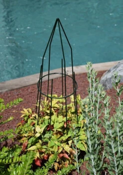 Tuteur Mini Grimpante Pyramide Rond -Moulin Louis - Vert - 1,20 X 0,27 M 7 Tuteur Mini Grimpante Pyramide Rond -Moulin Louis - Vert - 1,20 X 0,27 M -Pas Cher Jardinure Magasin 1823303 tuteur mini grimpante pyramide rond moulin louis vert 1 20x0 27 m 3 min