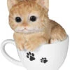 Chaton Dans Tasse - Riviera System - Roux - 13 X 12.8 X 14.6 Cm 2 Chaton Dans Tasse - Riviera System - Roux - 13 X 12.8 X 14.6 Cm -Pas Cher Jardinure Magasin 1823945 chaton dans tasse riviera system roux 13 x 12.8 x 14.6 cm