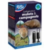 Piège à Campagnols - BSI - Plantoir Et Tige Inclus 1 Piège à Campagnols - BSI - Plantoir Et Tige Inclus -Pas Cher Jardinure Magasin 1886319 piege mulot campagnol bsi