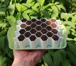 Kit De Semis M 25 Plants - Germie