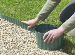 Bordure Verte - Greenborder - 20 X 900cm