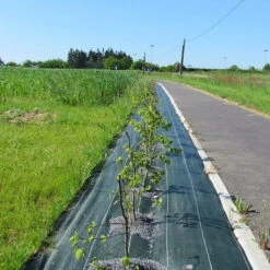 Toile Paillage - 90 G - 1m50 X 25 - Vert