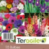 Collection Bouquetto Pour Faire Des Bouquets - X115 - Teragile -Pas Cher Jardinure Magasin 85403 page 0001