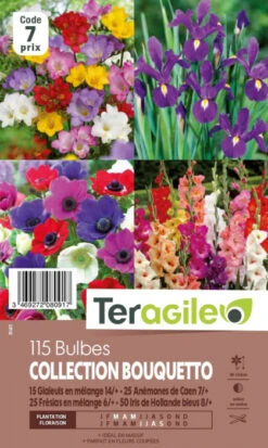 Collection Bouquetto Pour Faire Des Bouquets - X115 - Teragile
