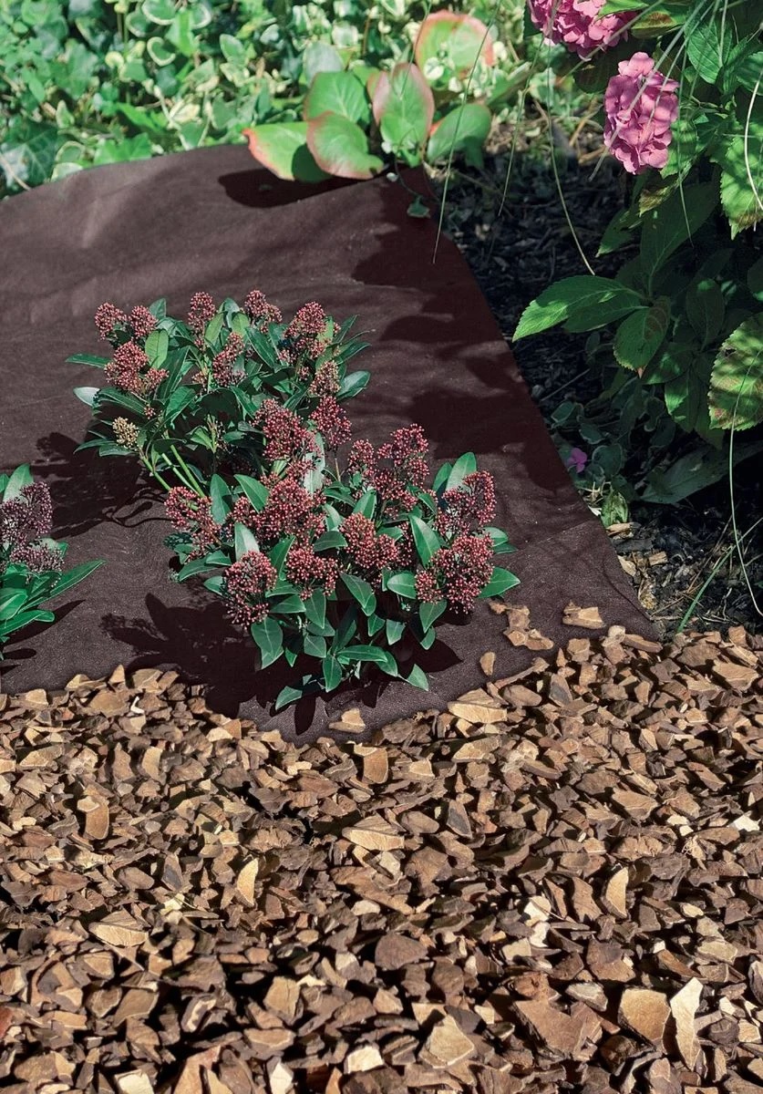 Pas Cher Jardinure Magasin -Pas Cher Jardinure Magasin Untitled